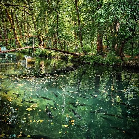 Янтарная Форель Bushtyno Εξωτερικό φωτογραφία